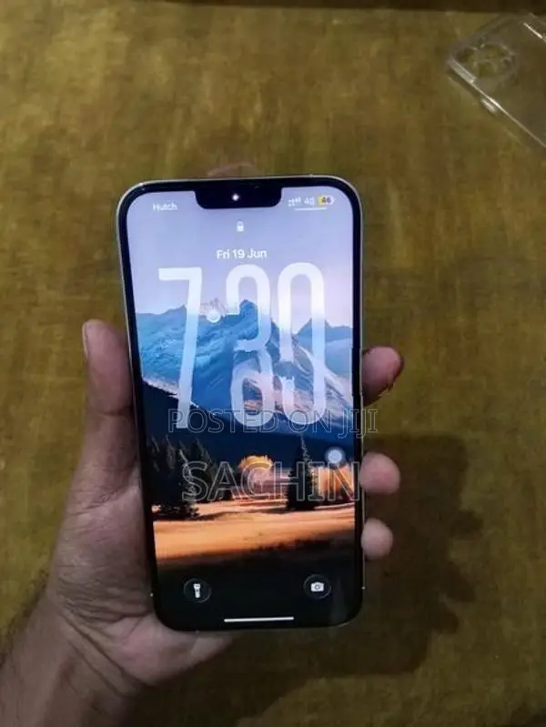 Apple iPhone 13 Pro Max (Used)
