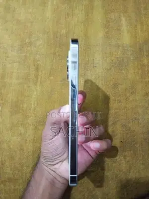 Apple iPhone 13 Pro Max (Used)