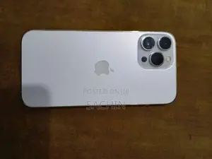 Apple iPhone 13 Pro Max (Used)