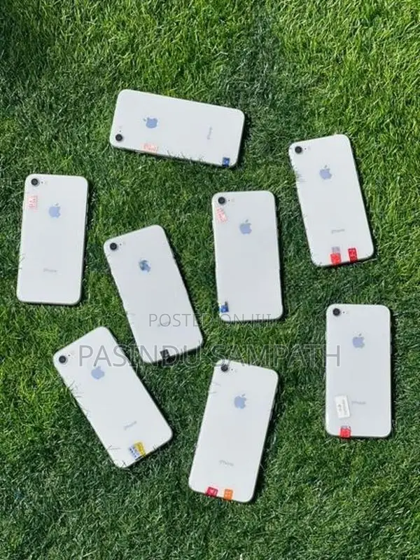 Apple iPhone 8 (Used)