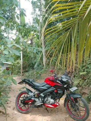 Bajaj Pulsar NS160 2017