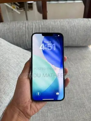 Apple iPhone 13 Pro Max (Used)
