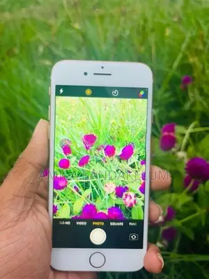 Apple iPhone 8 (Used)
