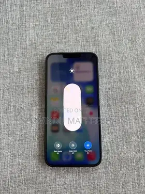 Apple iPhone 13 Pro Max (Used)