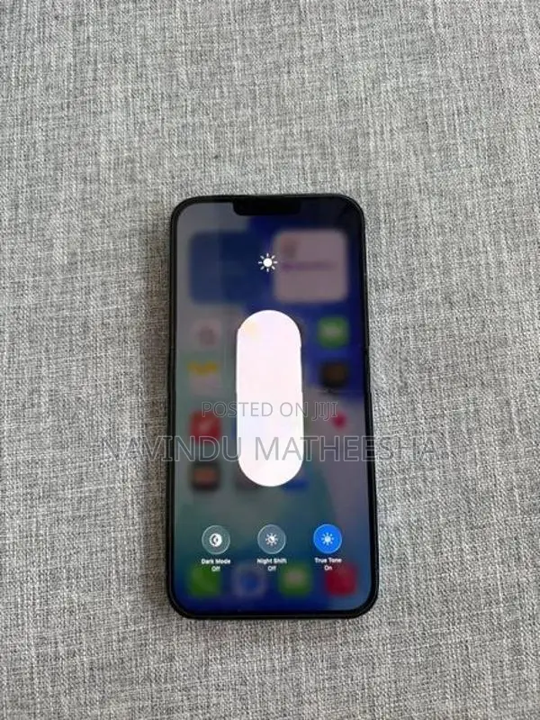 Apple iPhone 13 Pro Max (Used)