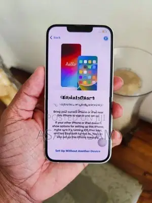 Apple iPhone 13 Display