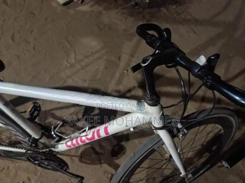 Bicycle
