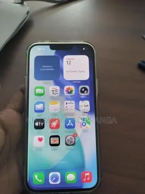 Apple iPhone 13 Pro Max 256GB (Used)