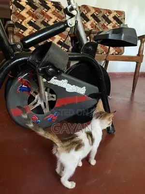 Exercise Bike