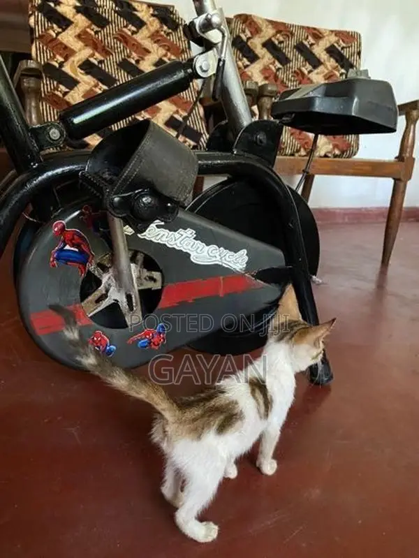 Exercise Bike