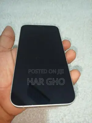 Apple iPhone 12 (Used)