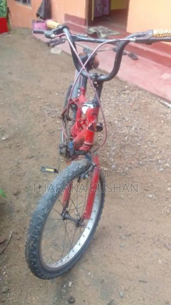 බයිසිකල්