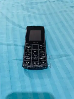 Nokia 110 (Used)