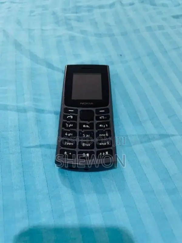 Nokia 110 (Used)