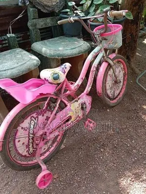 Tomahawk Bicycle