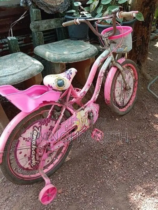Tomahawk Bicycle