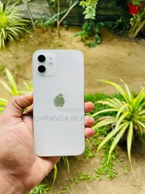 Apple iPhone 12 (Used)