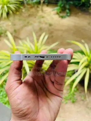 Apple iPhone 12 (Used)