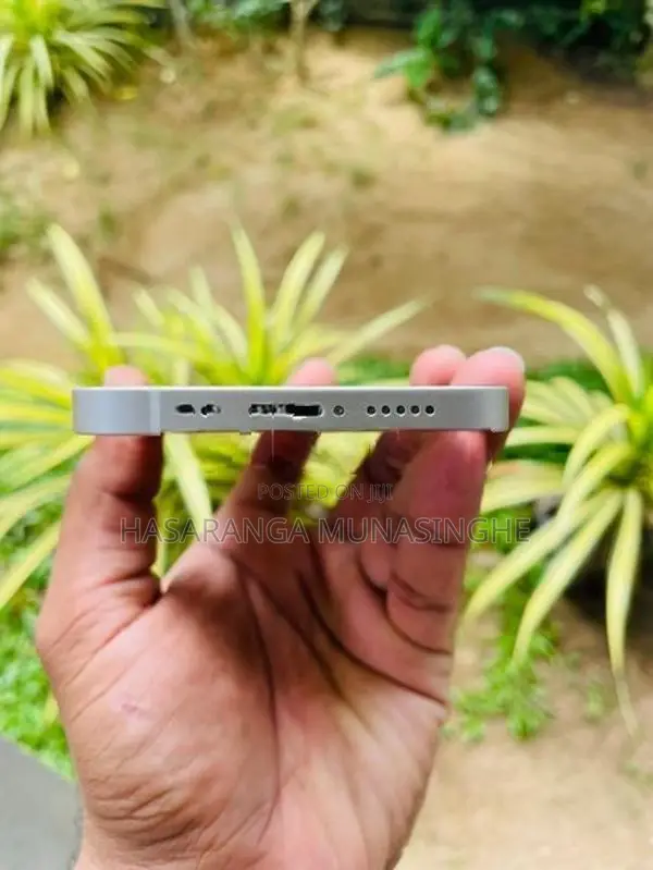 Apple iPhone 12 (Used)
