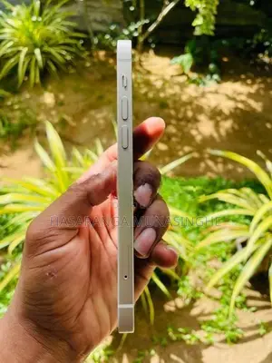 Apple iPhone 12 (Used)