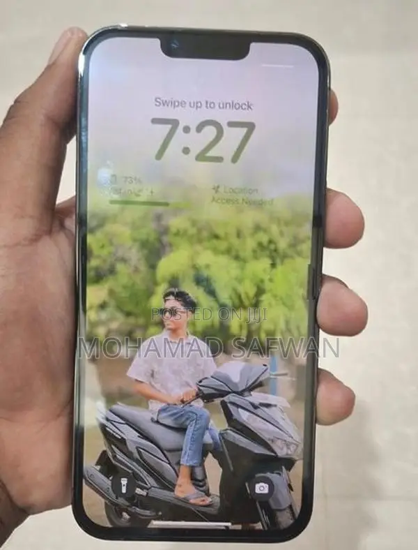 Apple iPhone 13 Pro Max (Used)