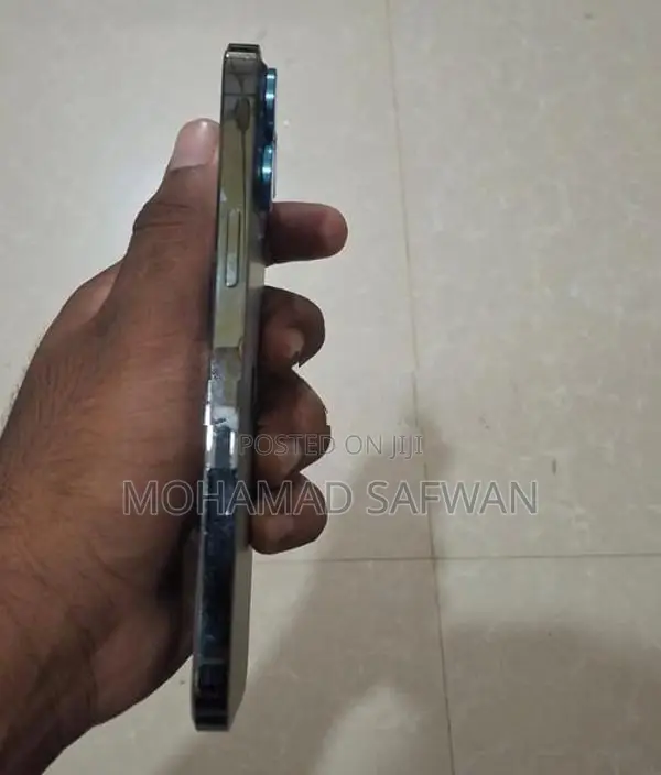 Apple iPhone 13 Pro Max (Used)