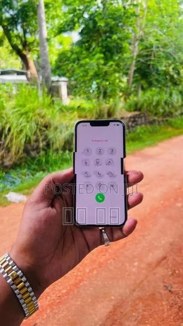 Apple iPhone 13 Pro (Used)