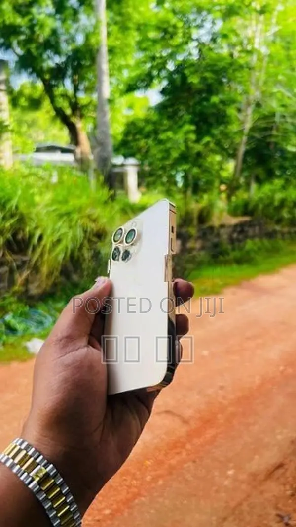 Apple iPhone 13 Pro (Used)