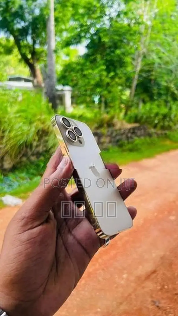 Apple iPhone 13 Pro (Used)