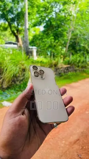 Apple iPhone 13 Pro (Used)
