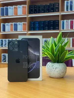 Apple iPhone 16 Pro Max 256GB (Used)