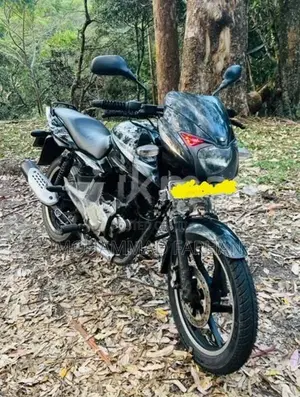 Bajaj Pulsar 150 2015/2016 2015