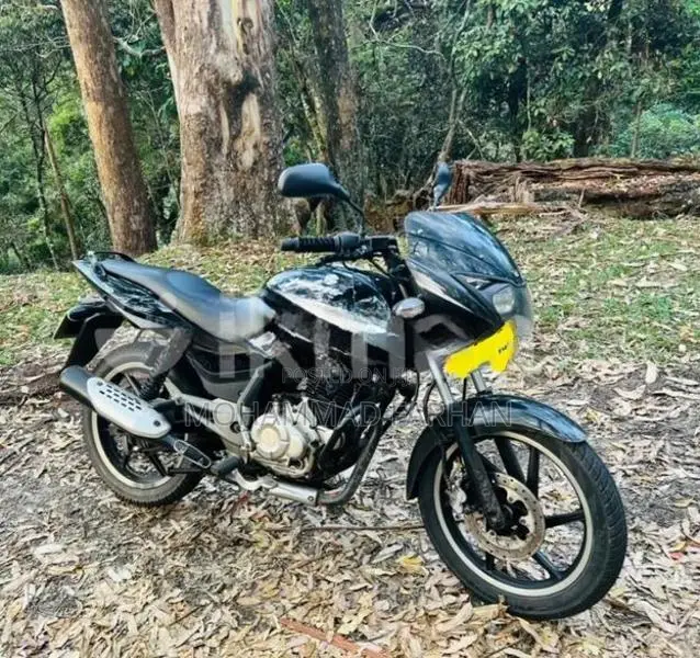 Bajaj Pulsar 150 2015/2016 2015