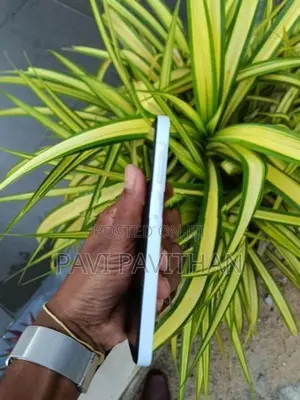 Samsung Galaxy A15 (Used)