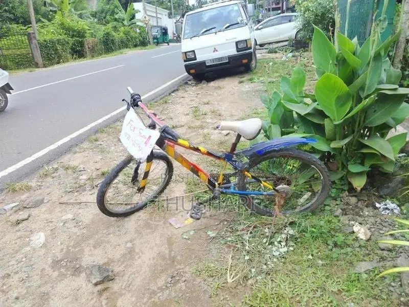Bicycle