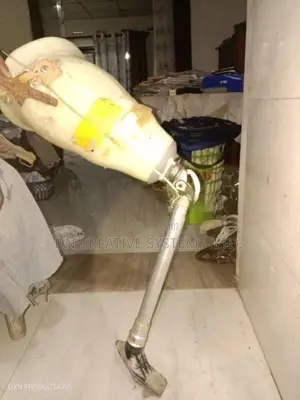 Artificial Limb
