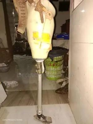 Artificial Limb