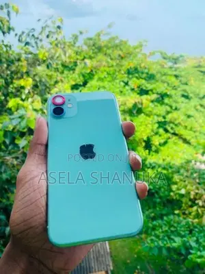 Apple iPhone 11 (Used)