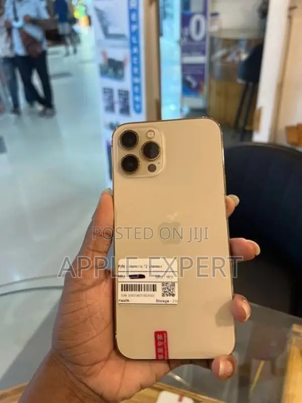 Apple iPhone 12 Pro Max (Used)