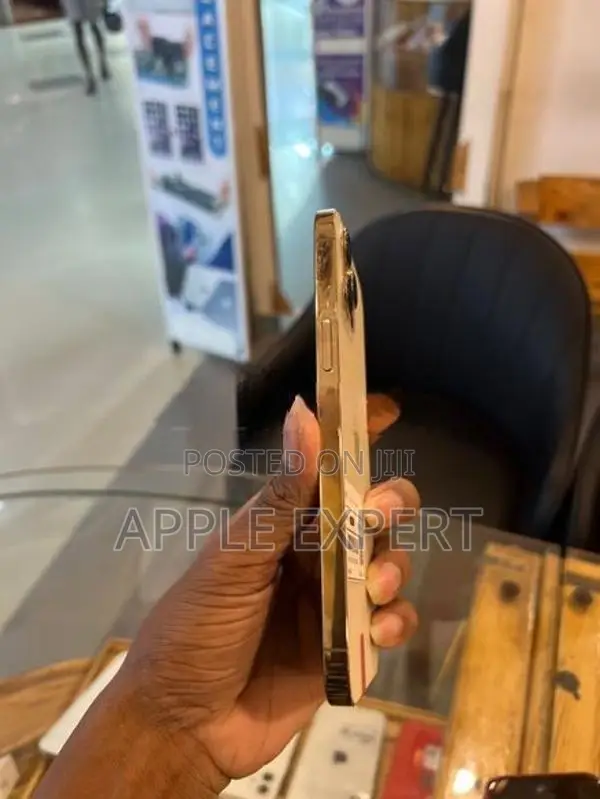 Apple iPhone 12 Pro Max (Used)