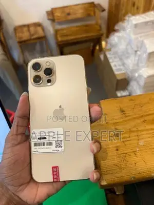 Apple iPhone 12 Pro Max (Used)