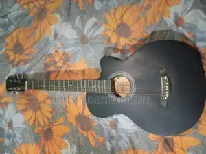 Guitar