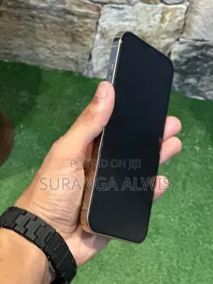 Apple iPhone 12 Pro Max 256GB (Used)