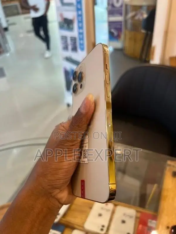 Apple iPhone 12 Pro Max (Used)