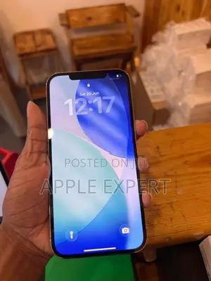 Apple iPhone 12 Pro Max (Used)