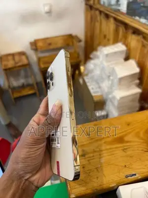 Apple iPhone 12 Pro Max (Used)
