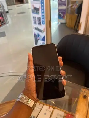 Apple iPhone 12 Pro Max (Used)