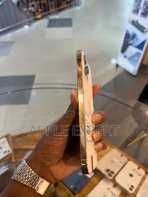Apple iPhone 12 Pro Max (Used)