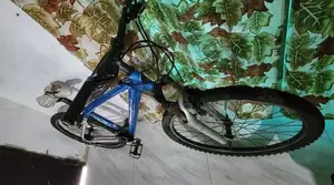 Trek 4300 Japan