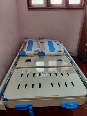 Hospital Bed with Air Mattress
